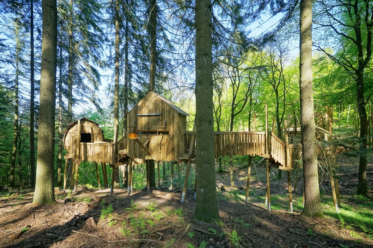 parc Chlorophylle