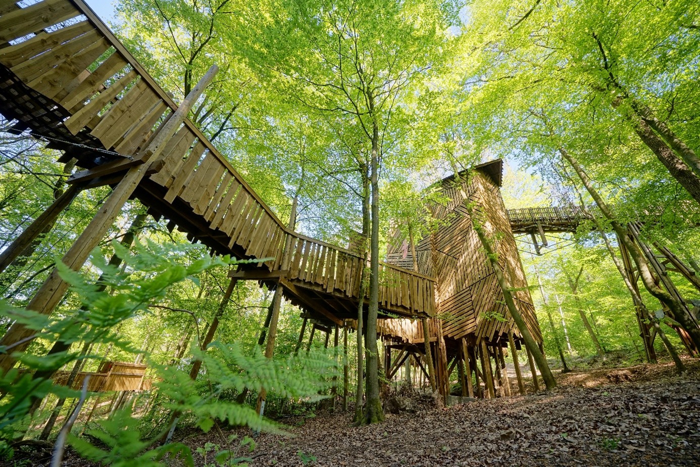 ‘Parc Chlorophylle’ in Dochamps, da’s spelenderwijs de natuur ontdekken!