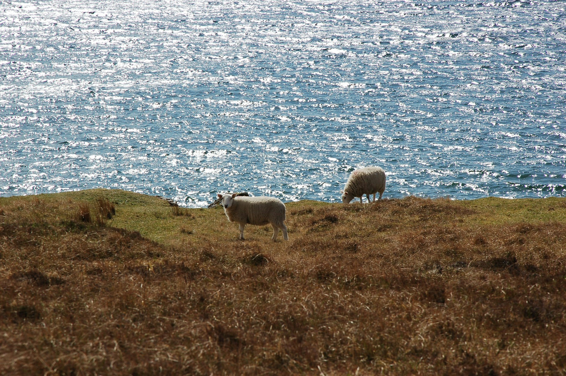 scotland