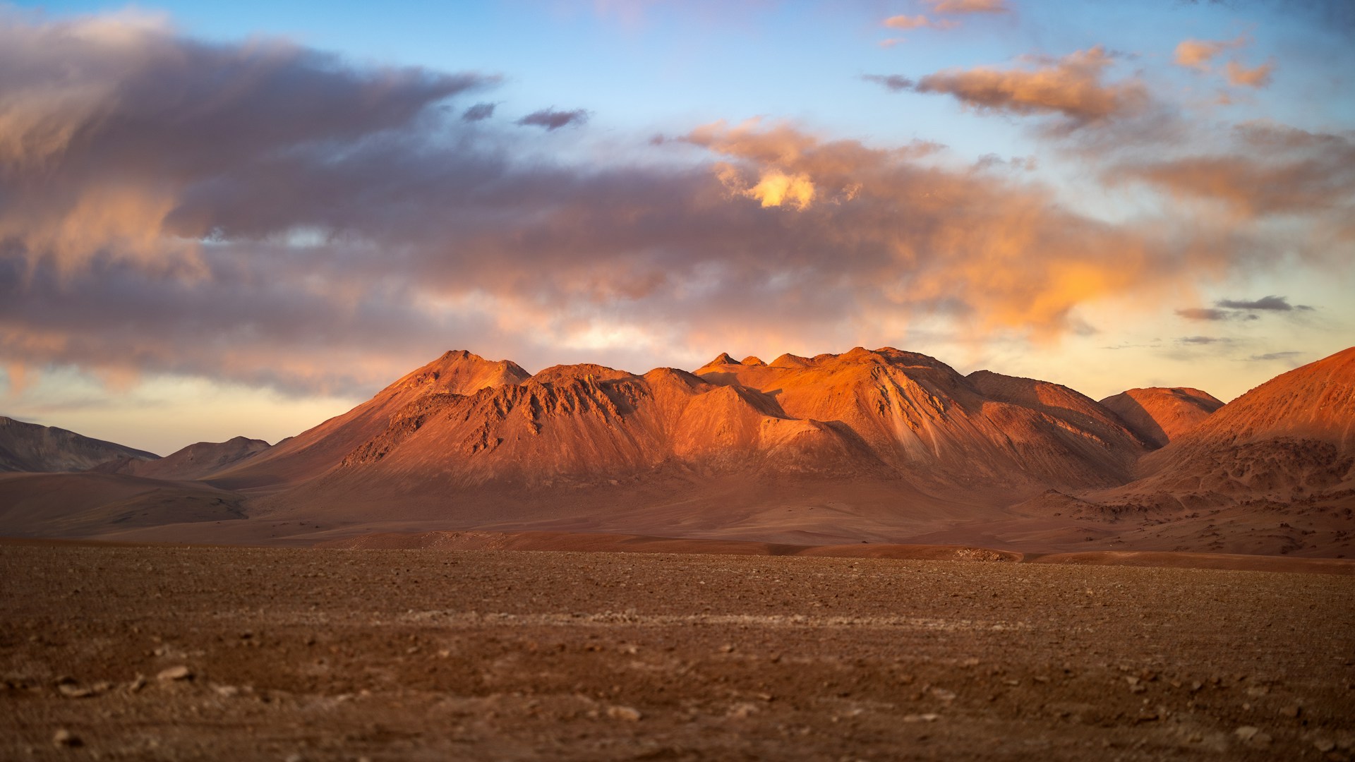 Désert d’Atacama : 5 faits incroyables