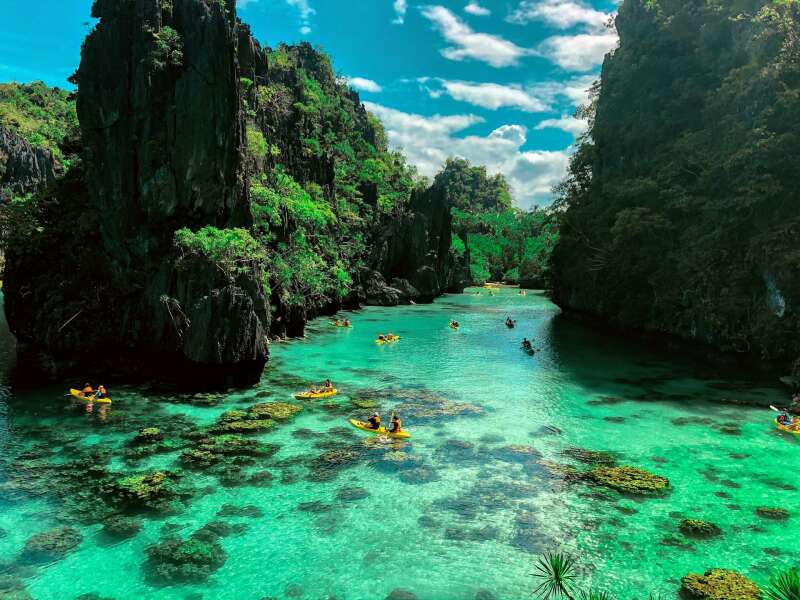 el nido