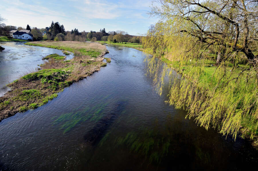Vue de la riviere dans un paysage bucolique