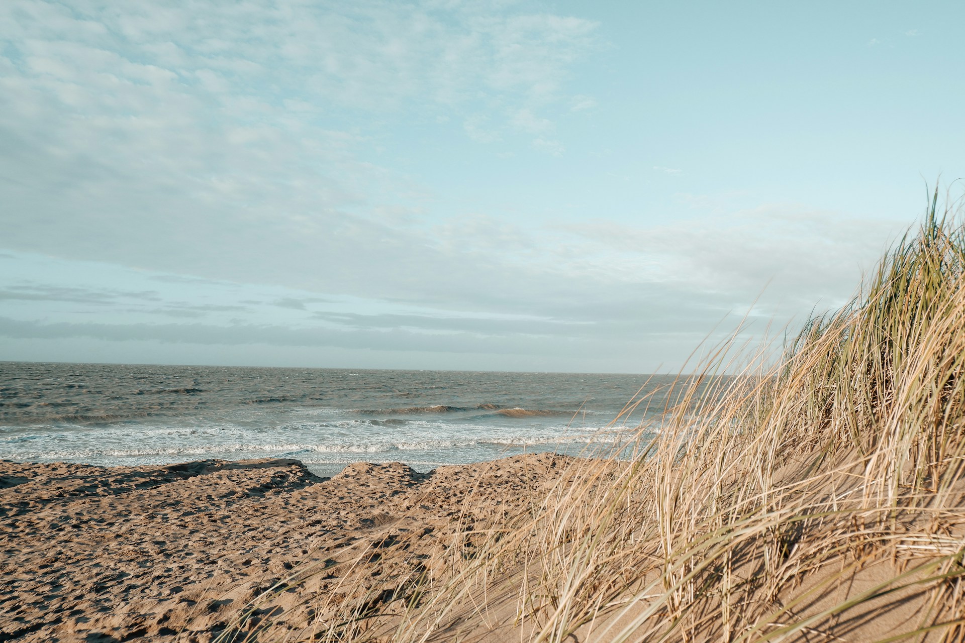 Blue Flag 2025: lichte achteruitgang bij de Belgische stranden?