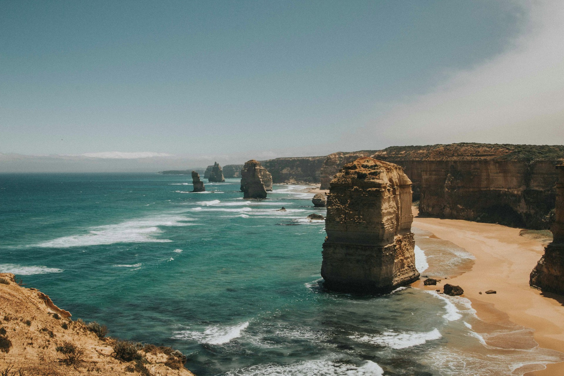 Australie : des plages transformées en cimetière à cause d’une… algue tueuse