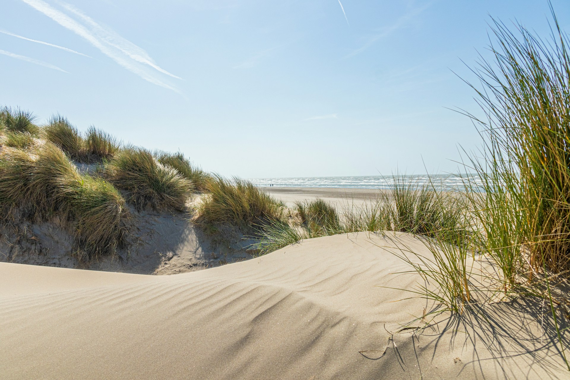 AT SEA: een nieuw driedaags muziekfestival in Koksijde