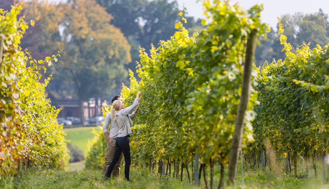 Lentecruise in Nederland (4/4): degustatie van Nederlandse wijn in Groesbeek