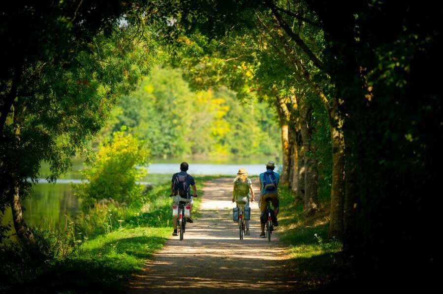 La Vélobuissonnière ® 