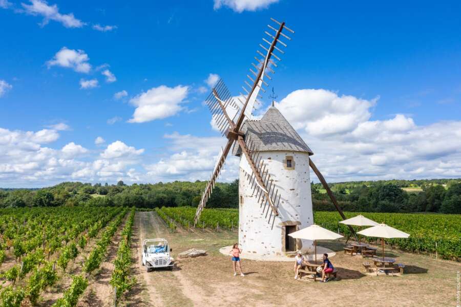 wine vendée