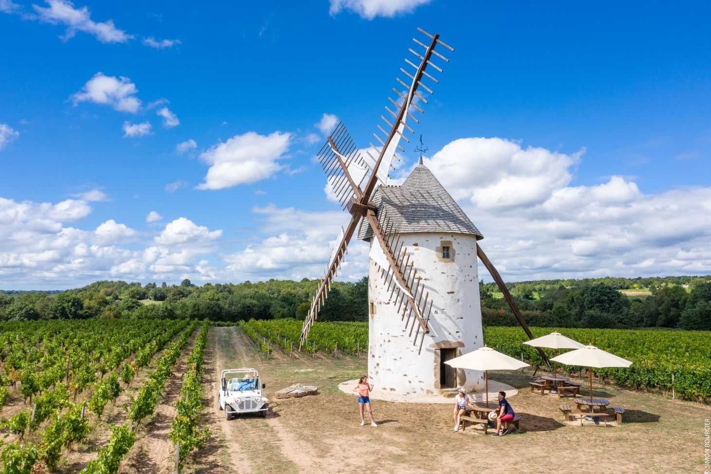 wine vendée