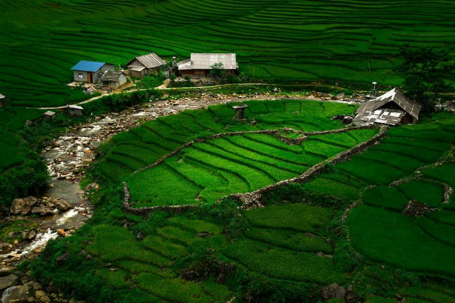 vietnam