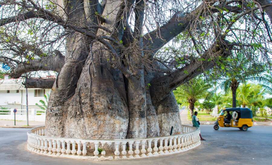 Madagascar