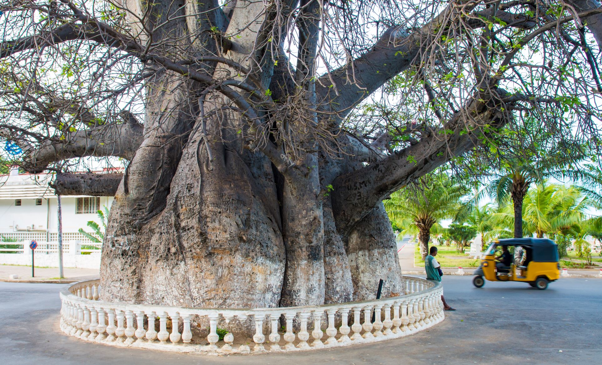 Madagascar