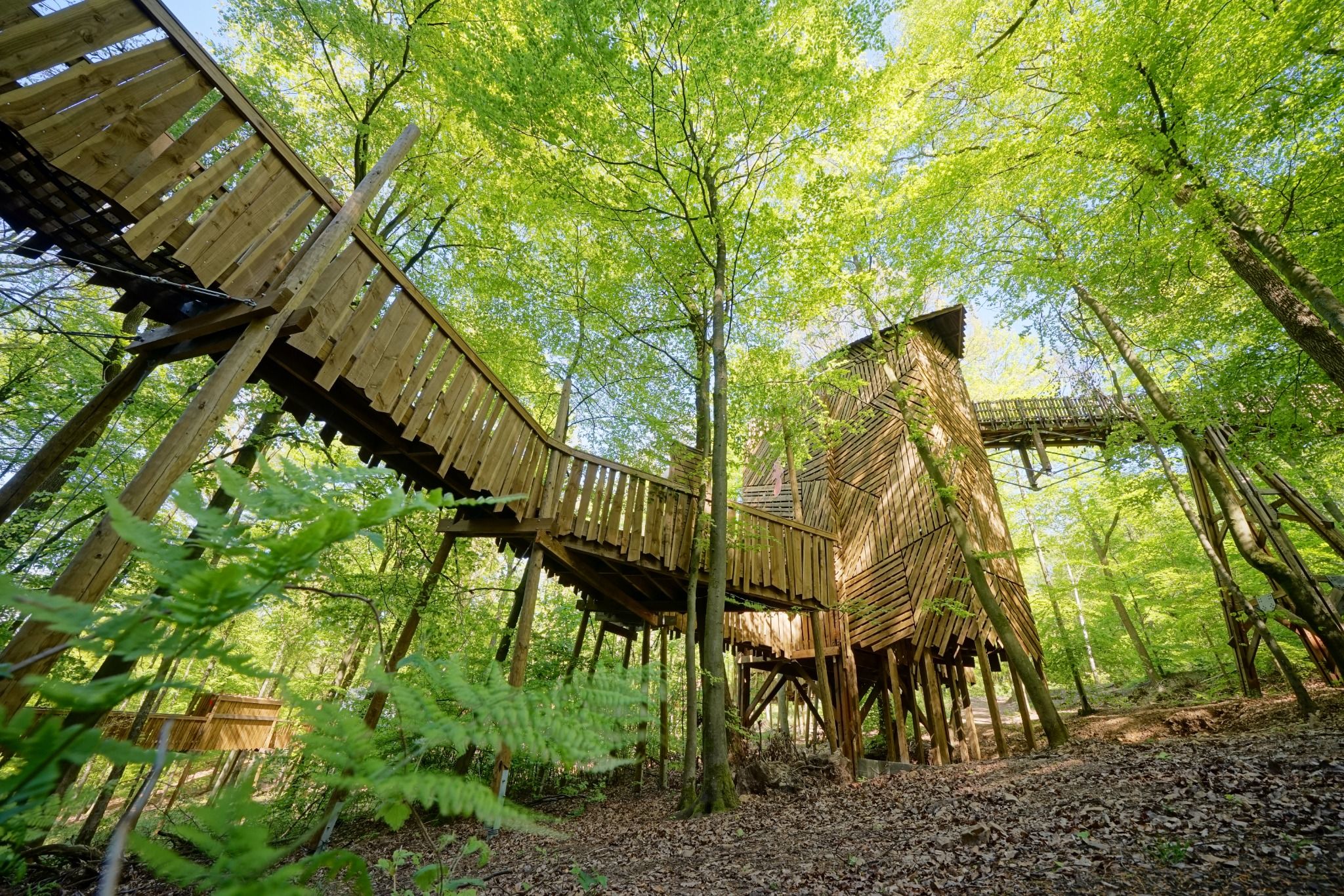 Le Parc Chlorophylle s’anime : toutes les nouveautés de ce parc si proche de la forêt !