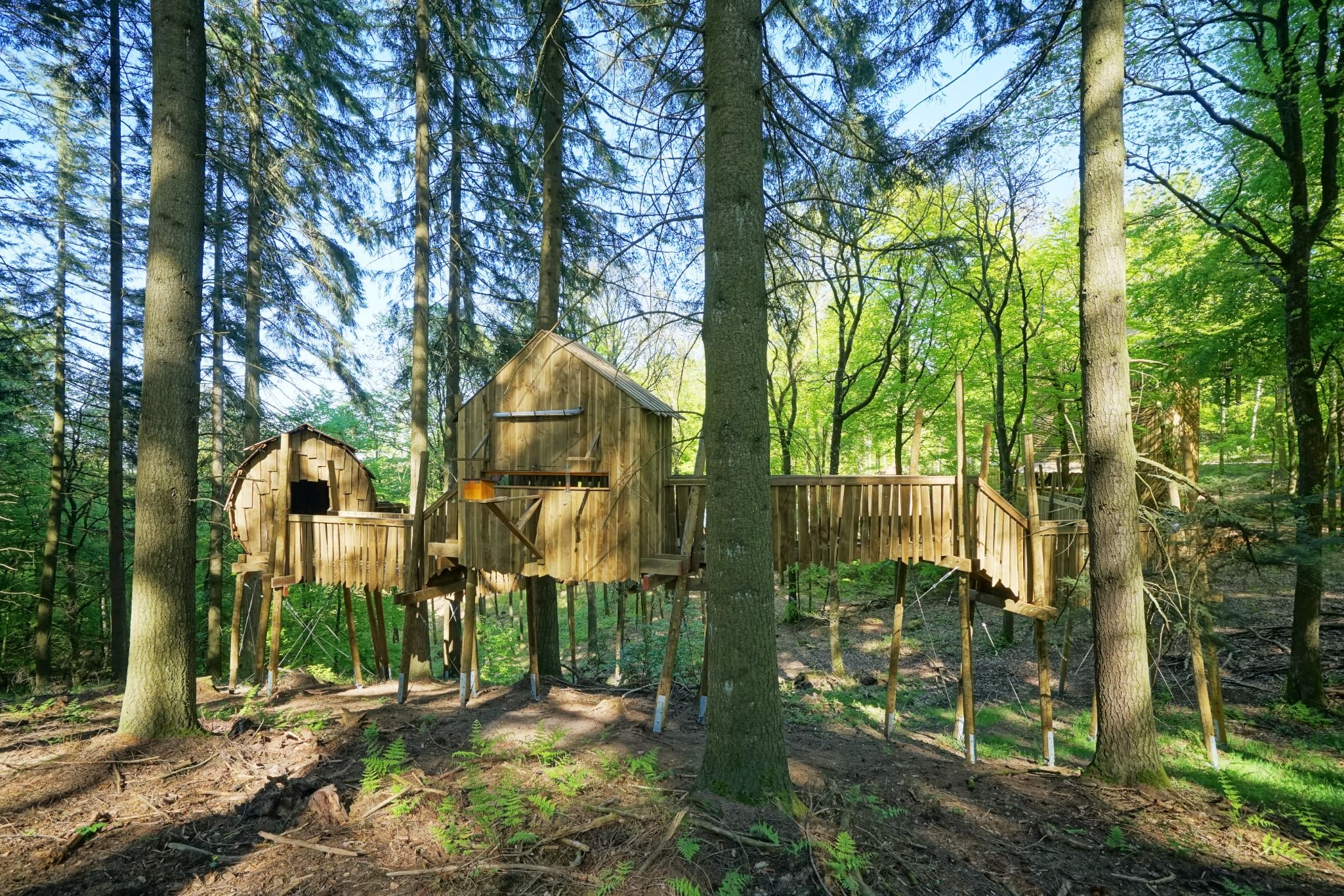 Parc Chlorophylle