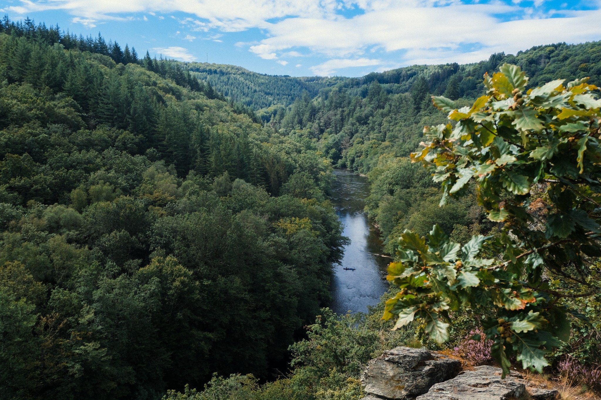 Trail : la Haute Ardenne dévoile un réseau inédit à couper le souffle