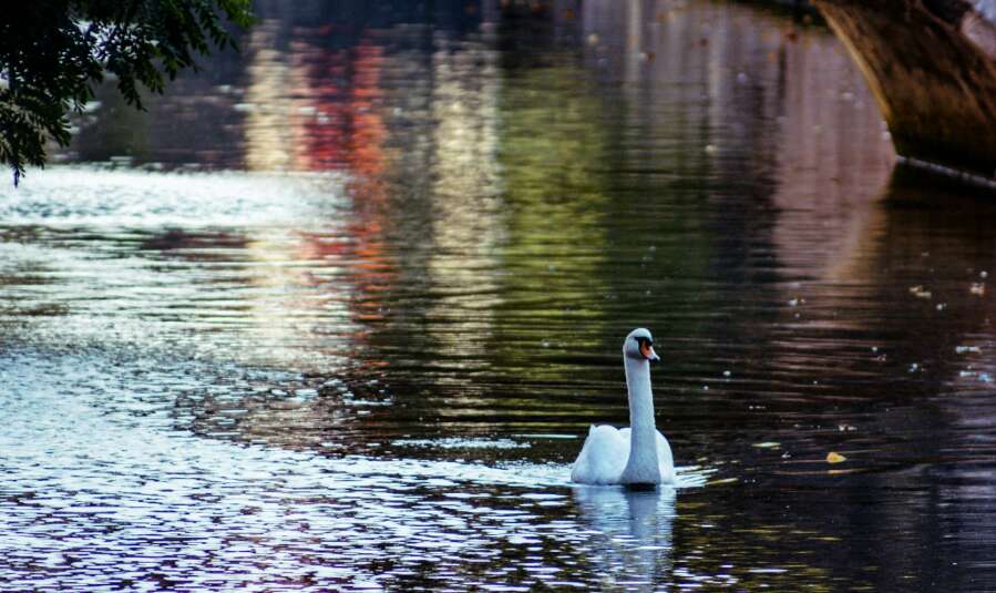 bruges