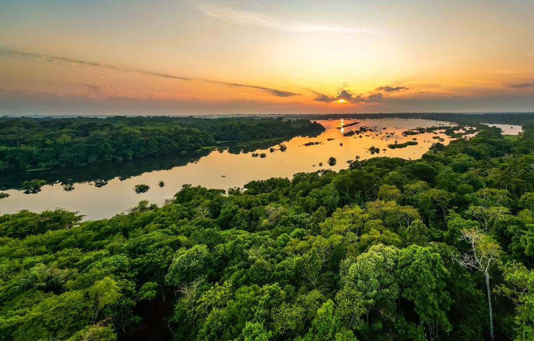 Cruise op de Amazone: het leven op de rivier, de ziel van het woud