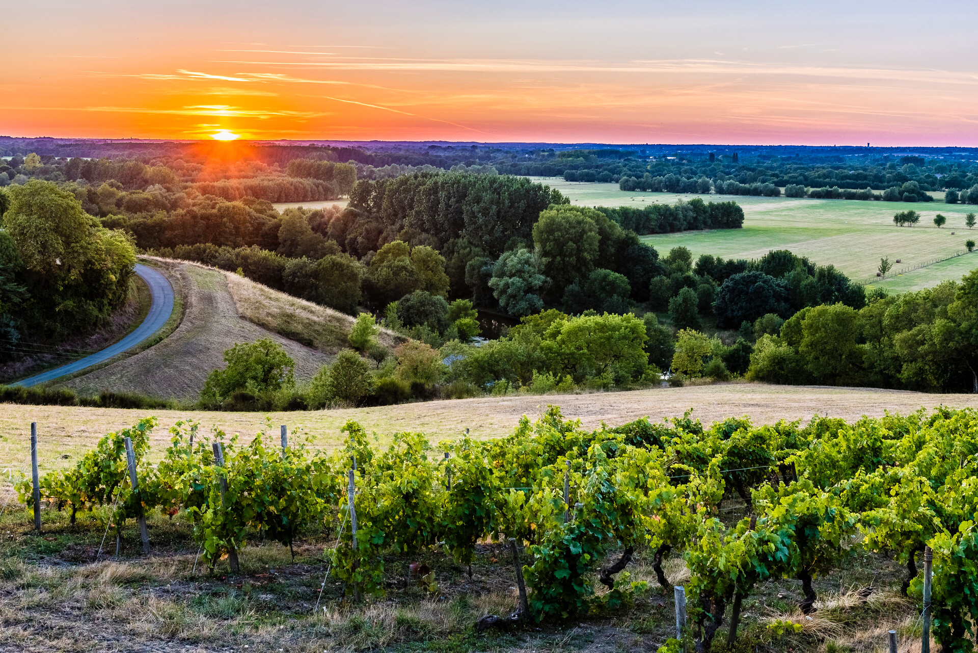 pays de la loire