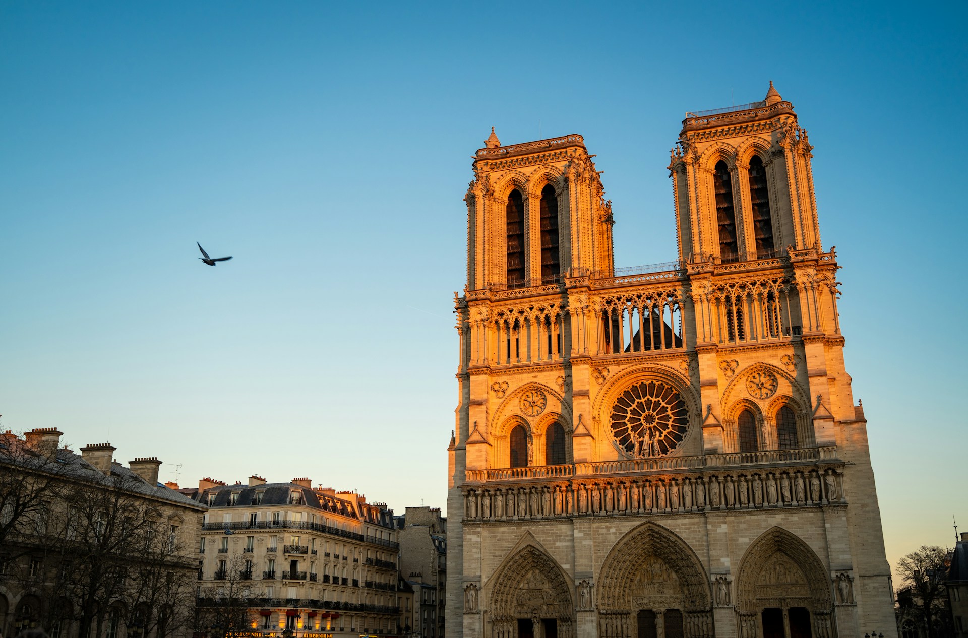 Notre-Dame de Paris : vos mollets peuvent à nouveau chauffer