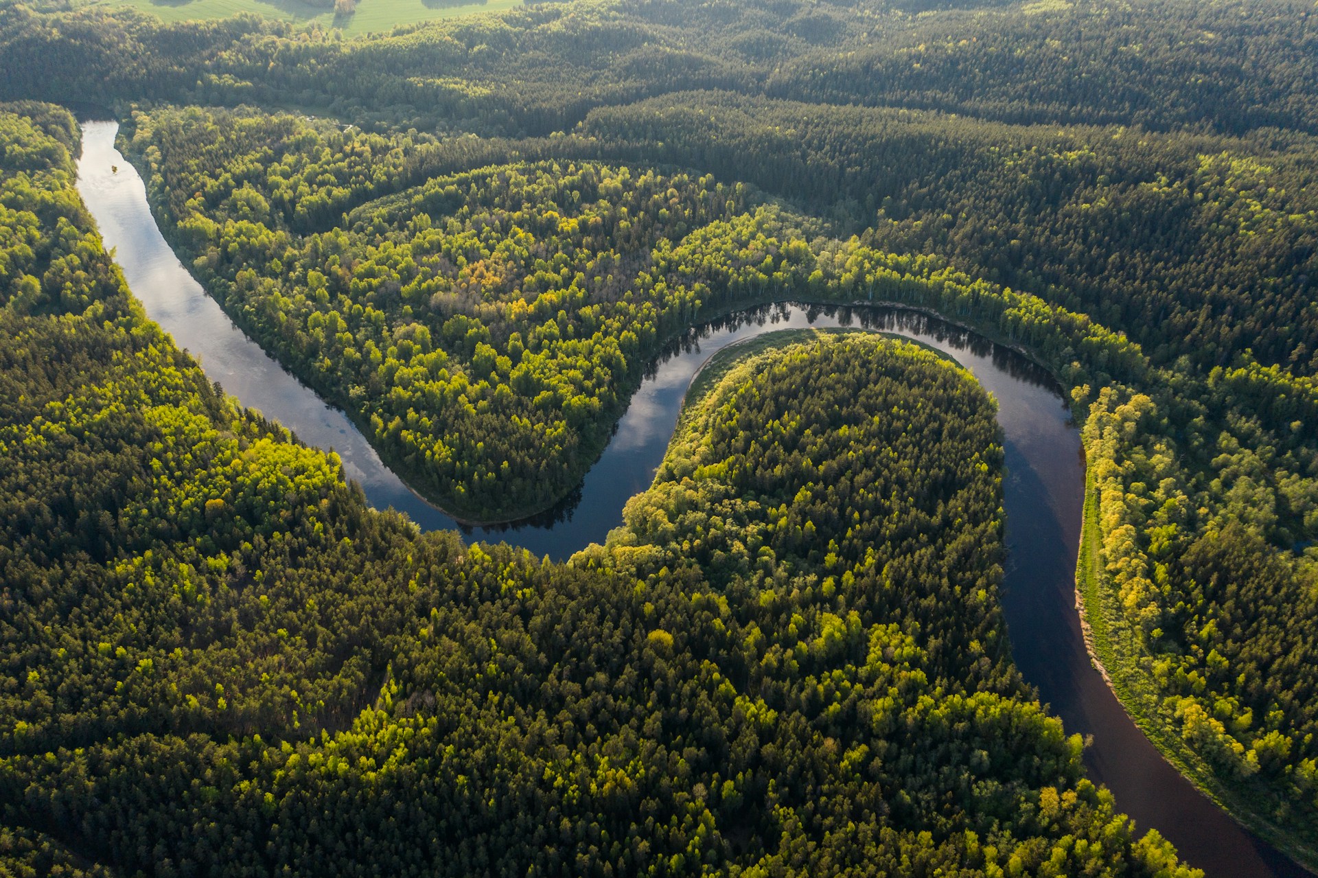 Le fleuve Amazone : 5 chiffres hallucinants