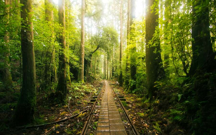 Yakushima