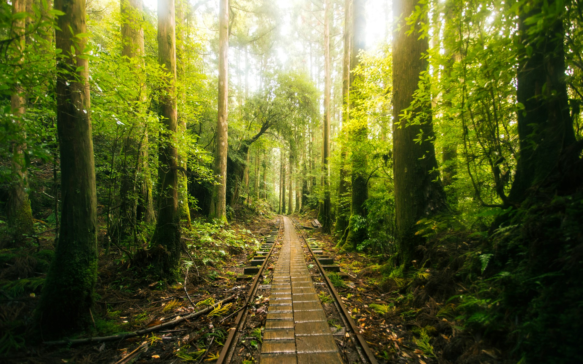 Yakushima