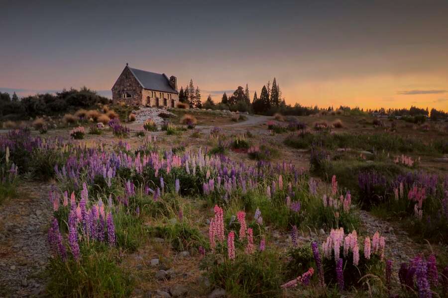 new-zealand