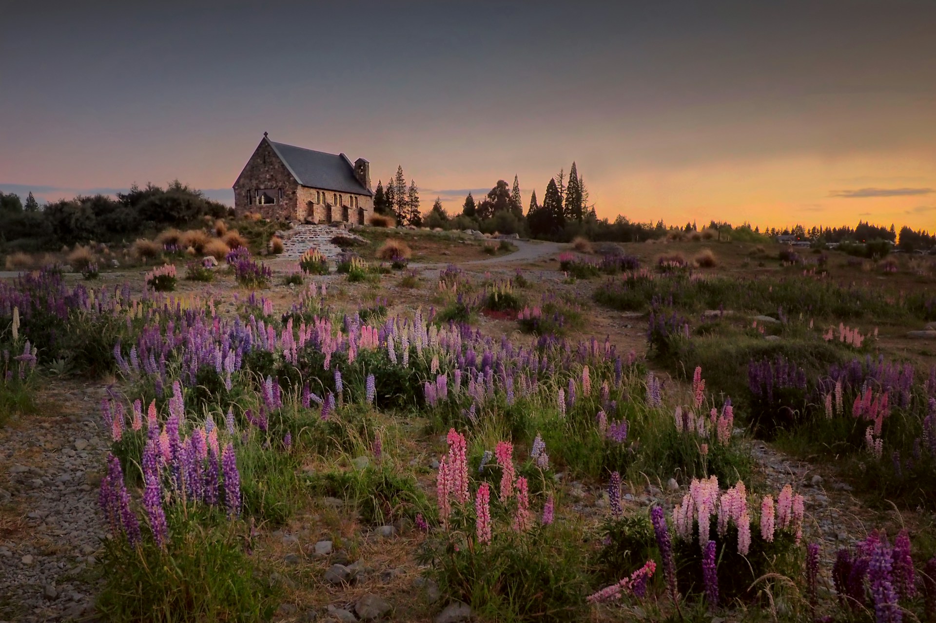 new-zealand