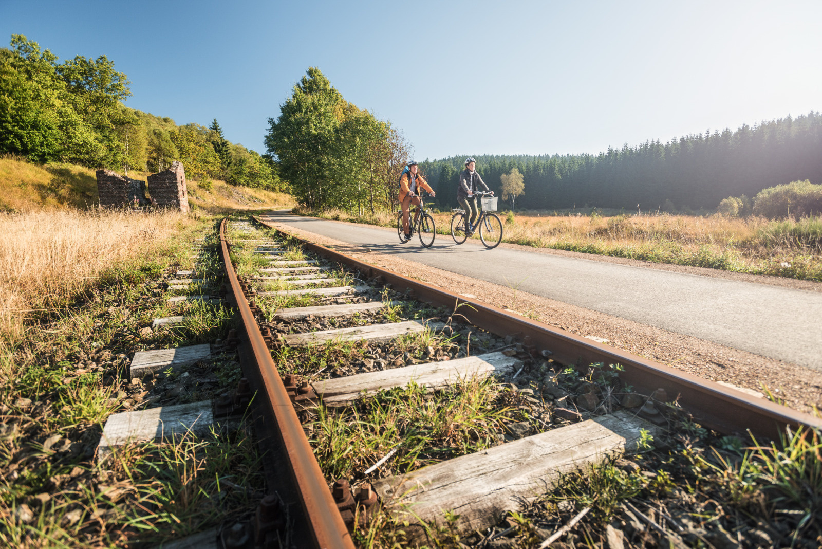 Ligne Ravel 45 Sourbrodt Vennbahn Grunen Kloster-Rurhof