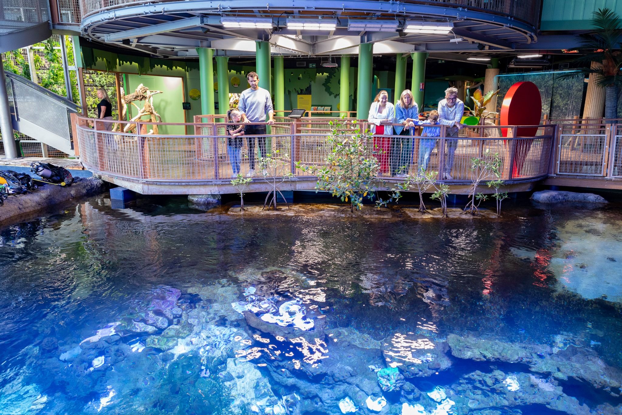 Nausicaá – Échappée Tropicale : cap sur les récifs et les mangroves !