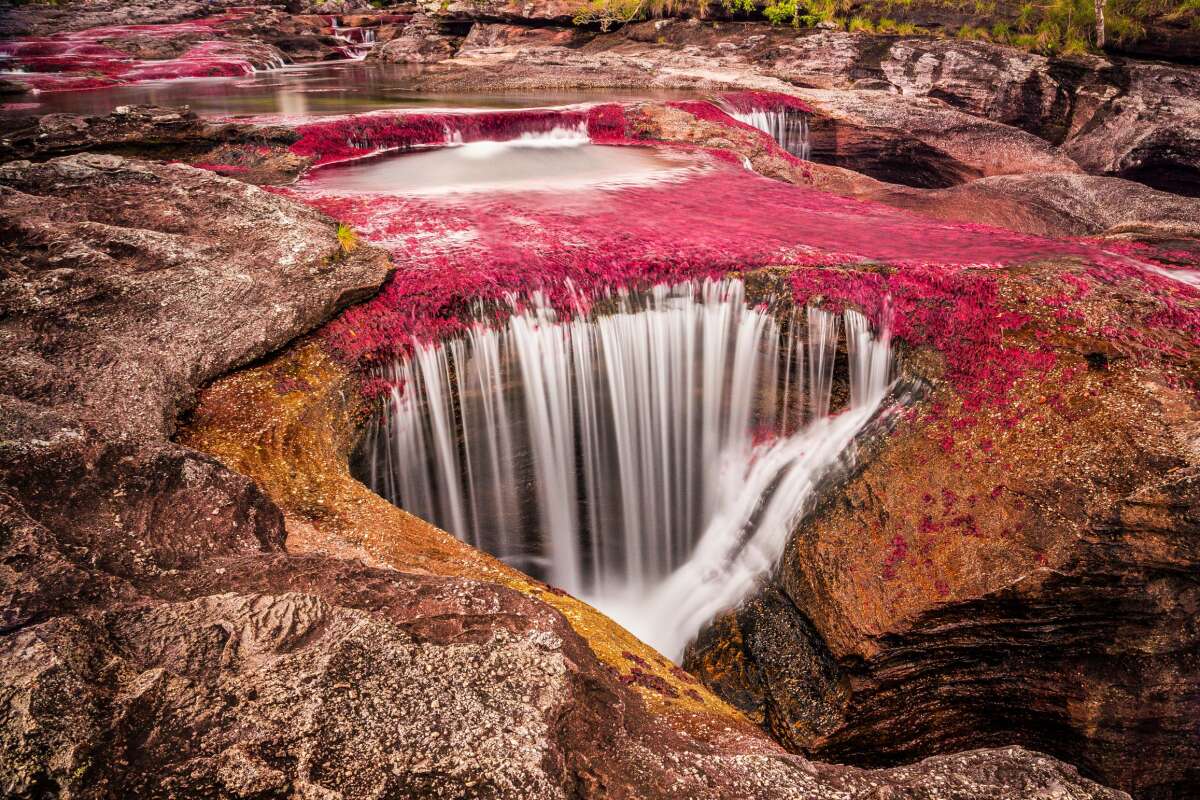 Caño Cristales 