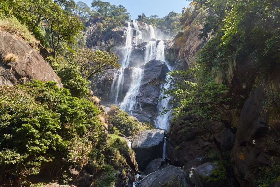 udzungwa