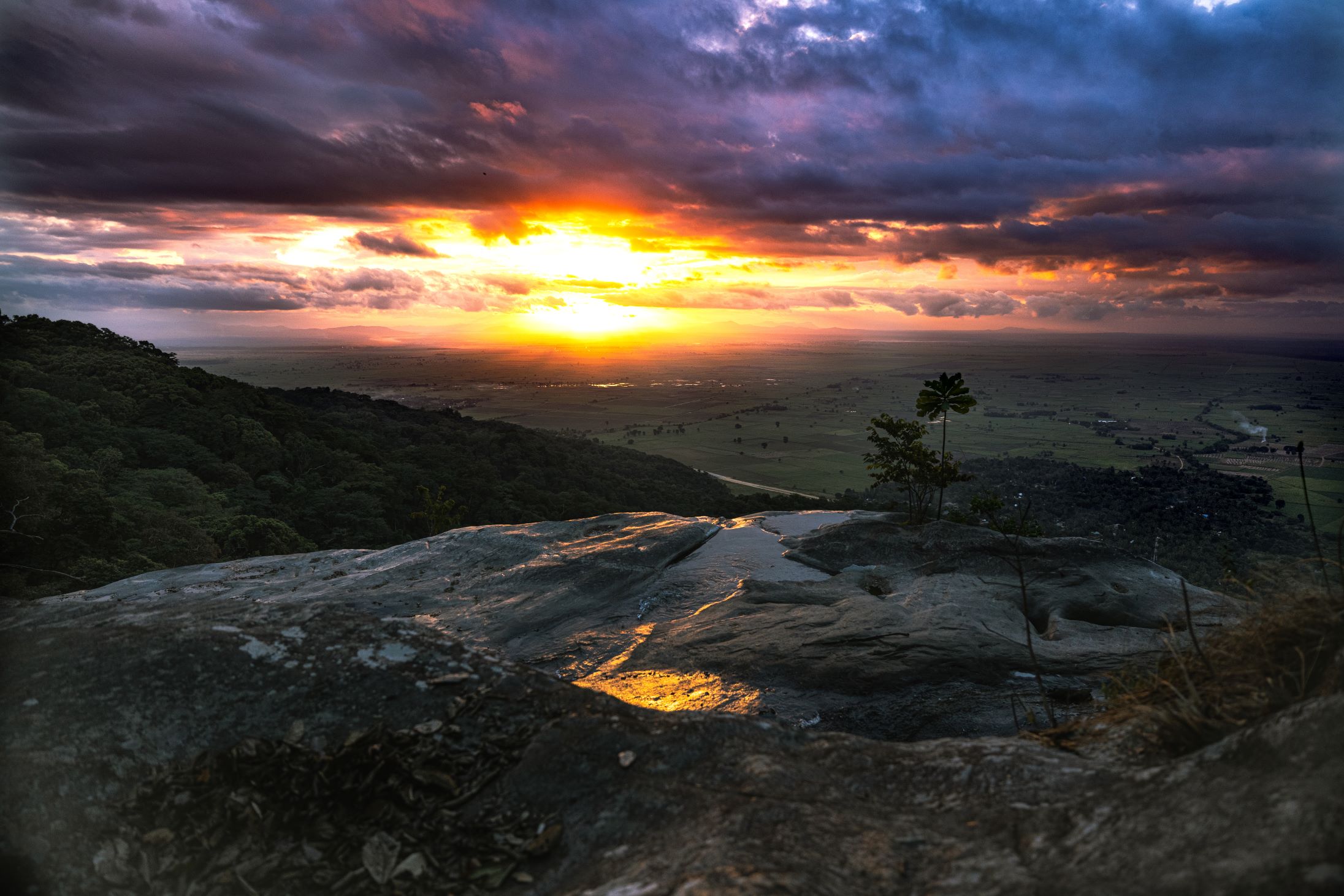 Udzungwa National Park – wandelen tussen de wolken in Tanzania
