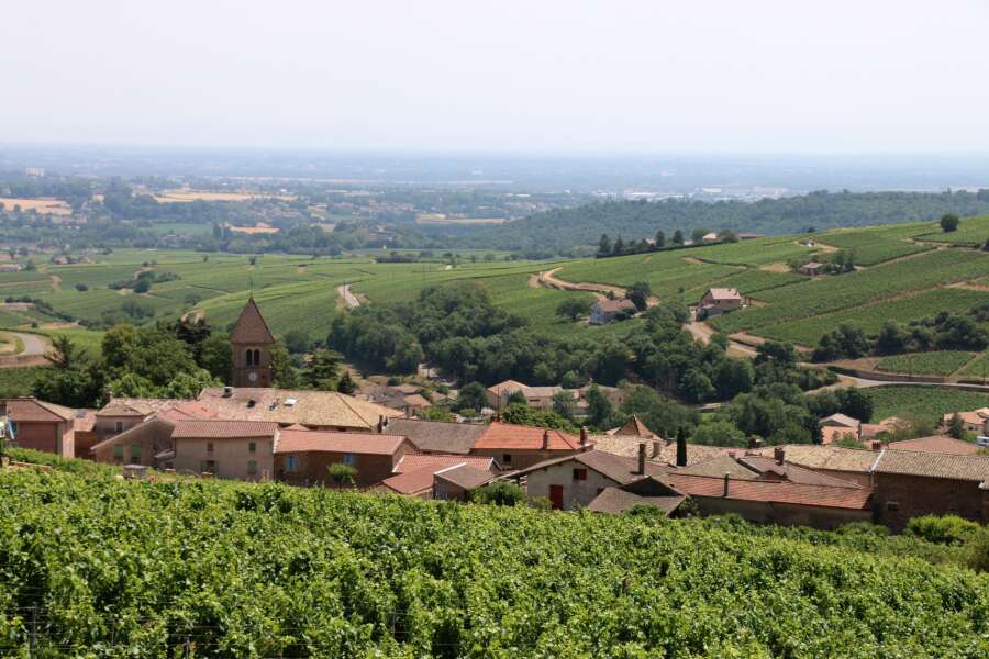 beaujolais