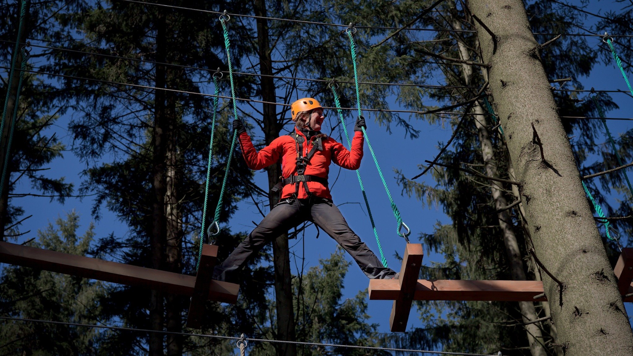 Accrobranche à la Baraque Fraiture : sport, fun et paysages à couper le souffle