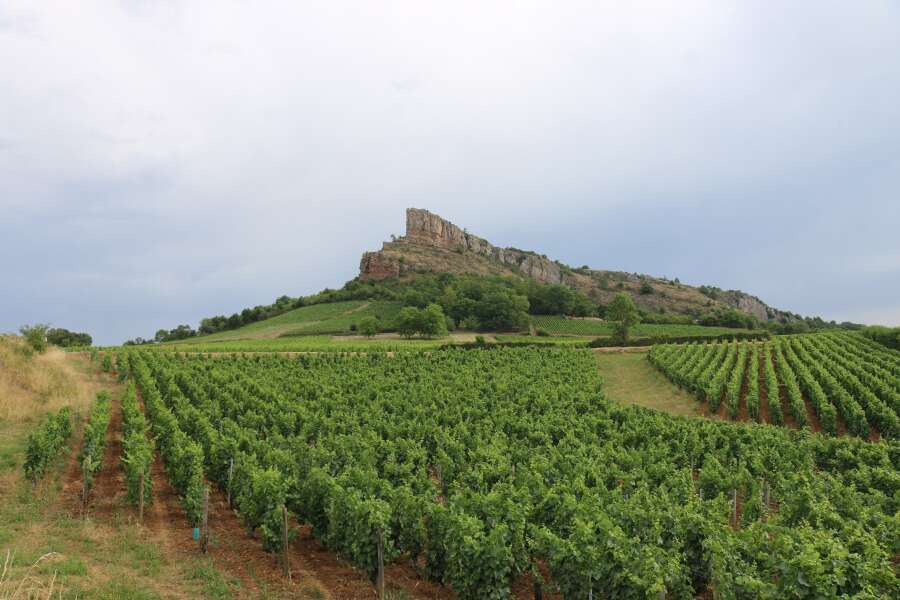 beaujolais