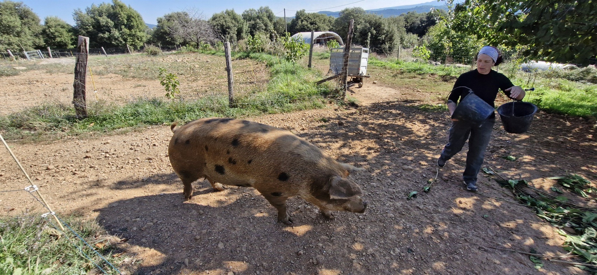 Een weekend in de Cevennen (2/4): in de voetsporen van de lokale ‘baron’