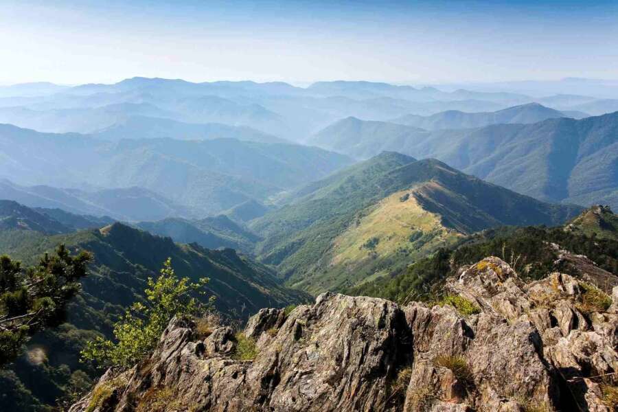 Cévennes