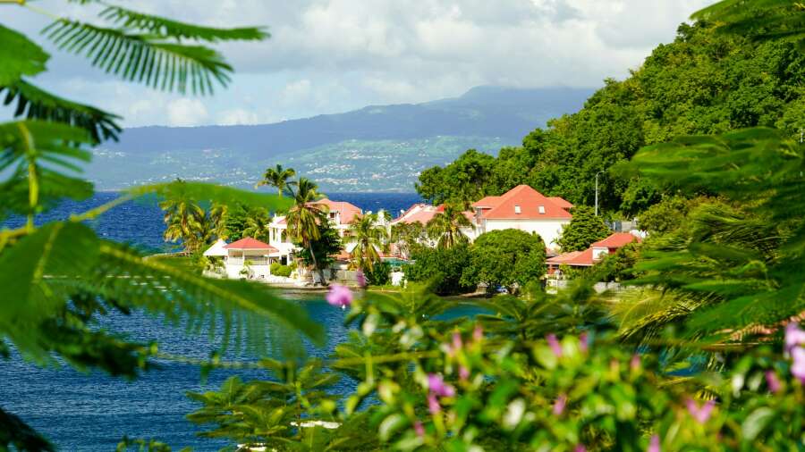 Caribbean