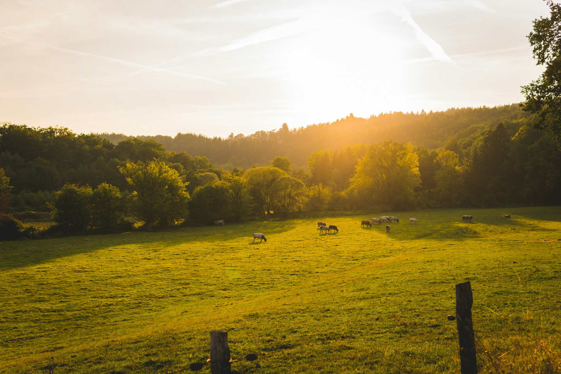 Vlamingen in de Ardennen, Walen aan de Belgische kust: mythe of realiteit?