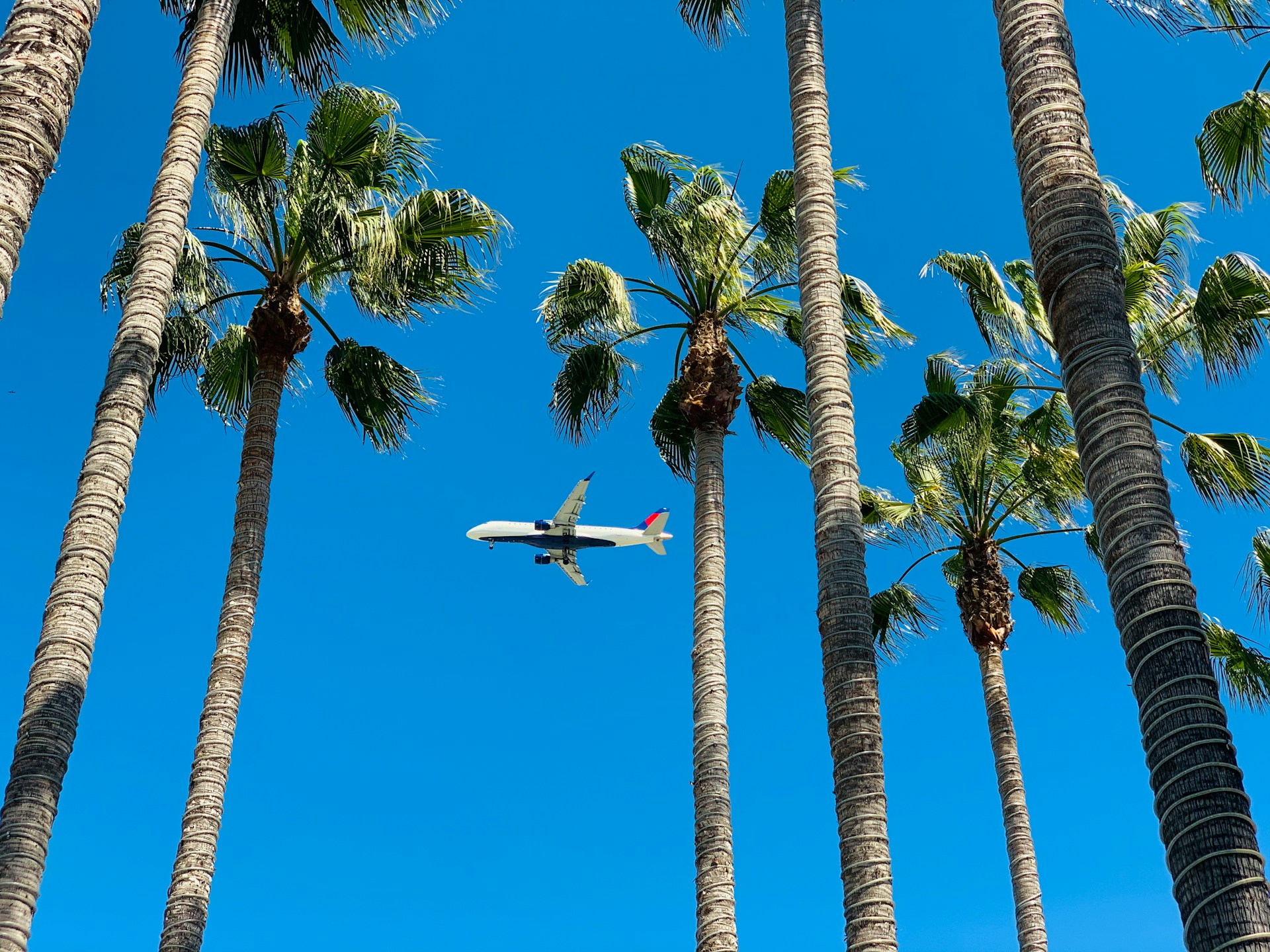 Tourisme : plus de voyages, mais&#8230; moins de pollution ?