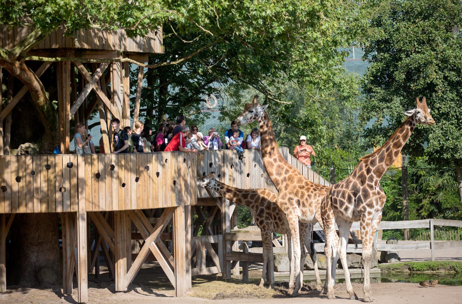 Pairi Daiza