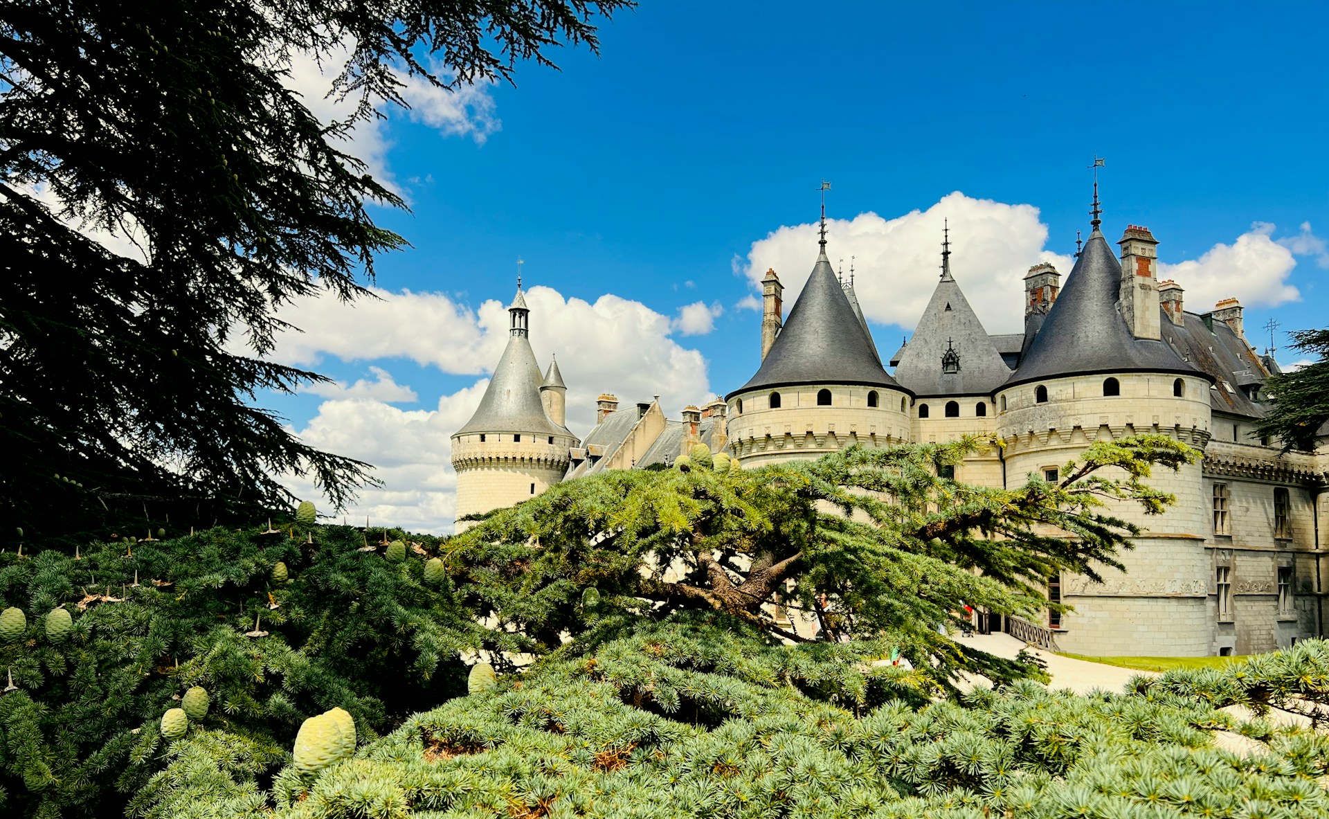 Image de l’article