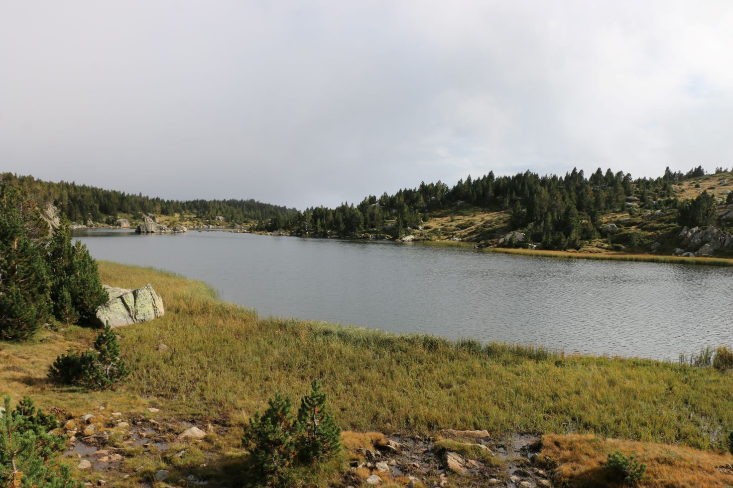 pyrénées