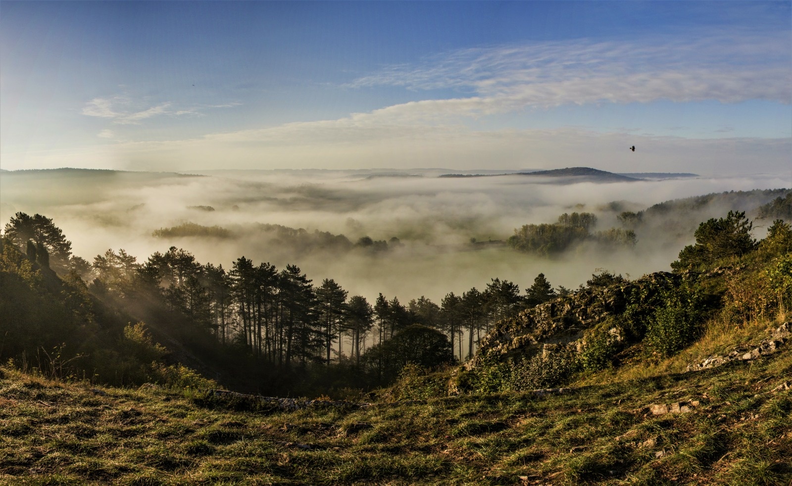 Belvedere brume