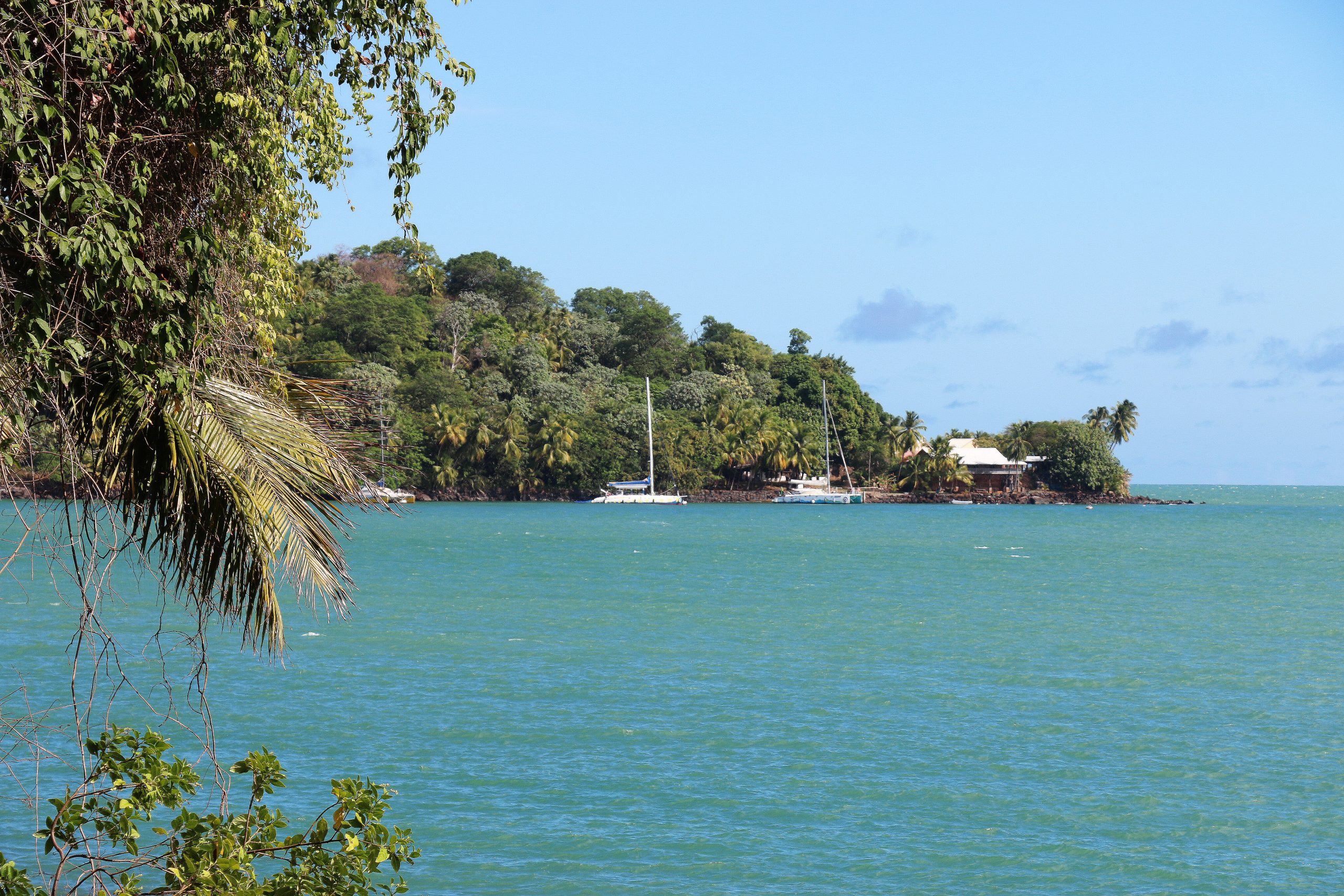 Guyane, rendez-vous en terre sauvage