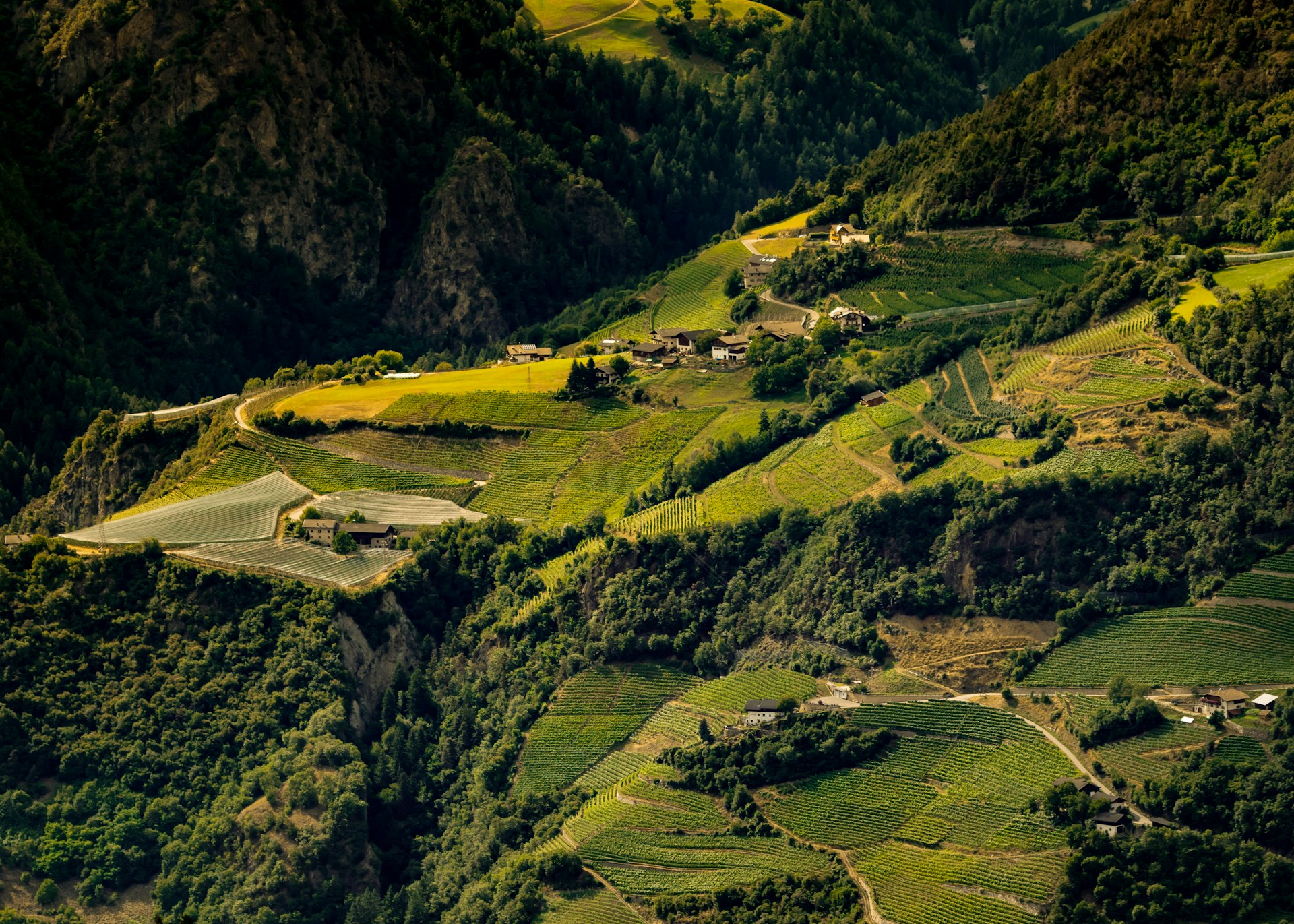 sudtyrol