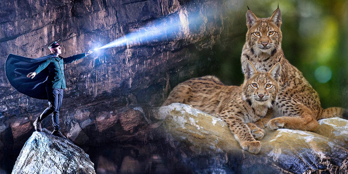 Le Domaine des Grottes de Han, la destination nature par excellence