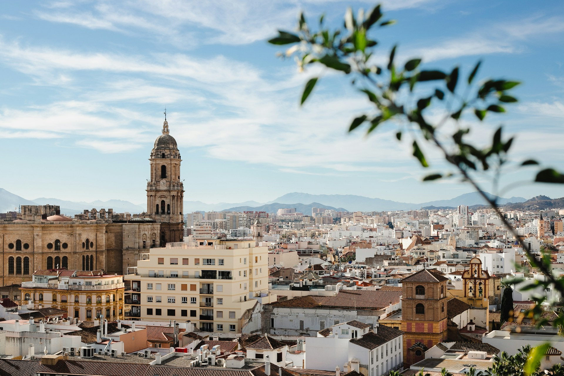 malaga