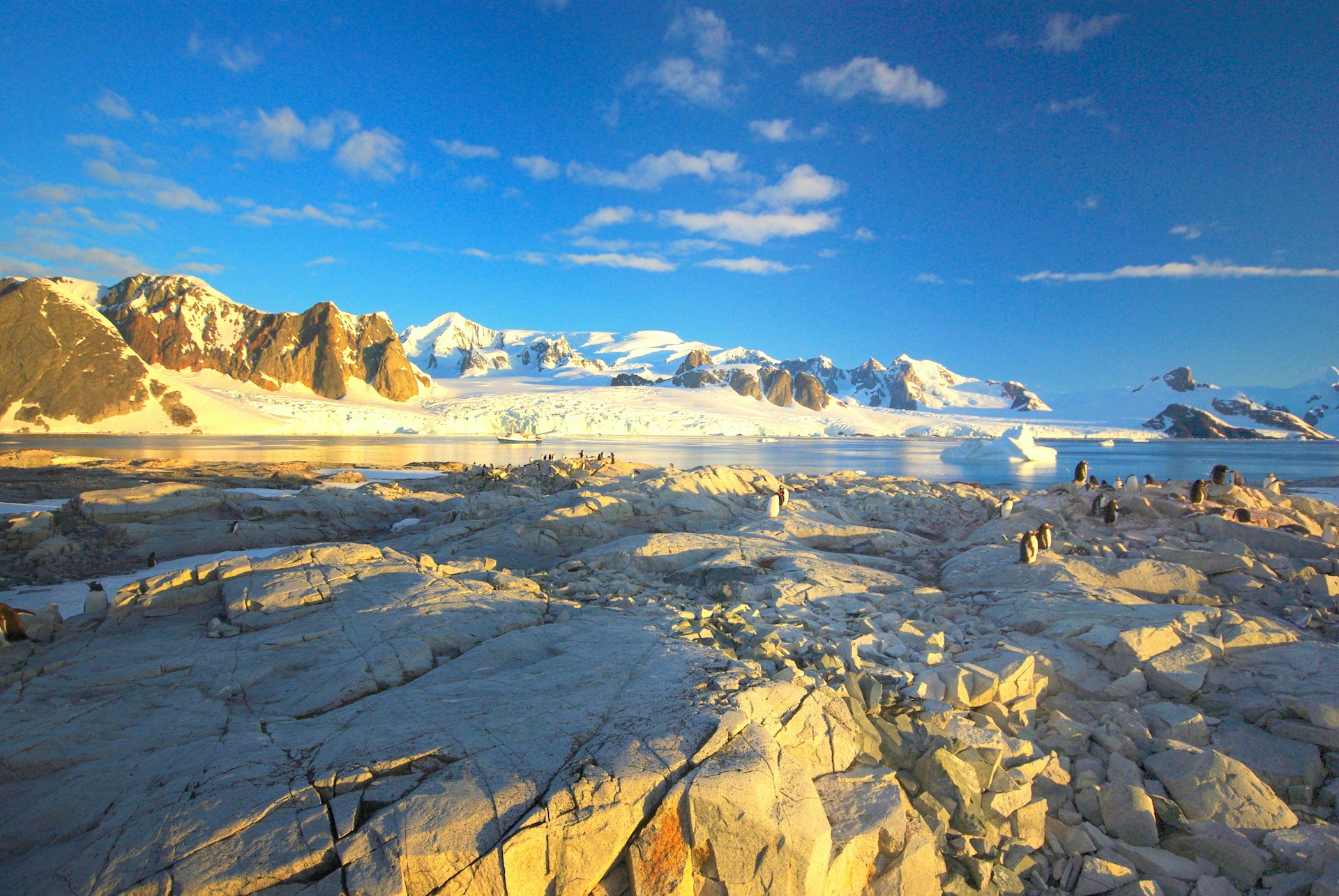 antarctica